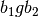 b_1gb_2