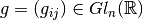 g=(g_{ij})\in Gl_n({\mathbb R})