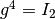 g^4=I_2