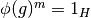 \phi(g)^m = 1_H